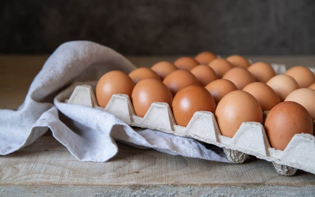 Normativa trazabilidad huevos y estuches 2024