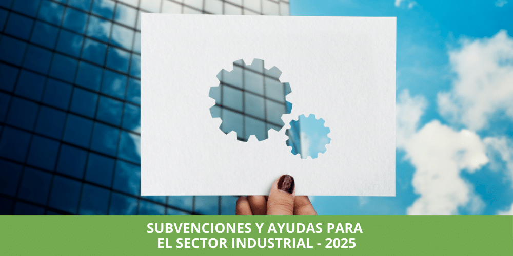 Ayudas para el sector Industrial 2025 - Trebol Group